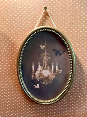 Butterflies & Chandelier
